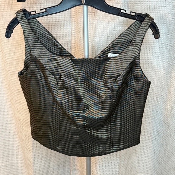 Gantos Tops - Gantos Iridescent Black Ribbed Satin Crop Top